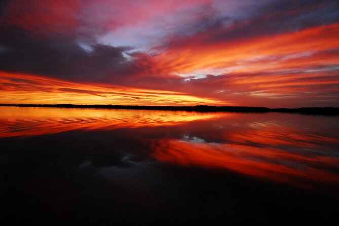 Private Everglades National Park Photography, Birding and Wildlife Safari - Professional Guide for Wildlife Photography