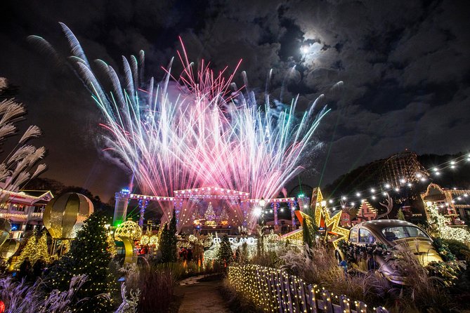 Private Everland Theme Park Tour - Overview and Activities