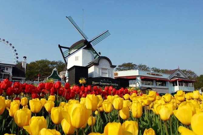 Private Everland Theme Park Tour - Product Code and Help Center