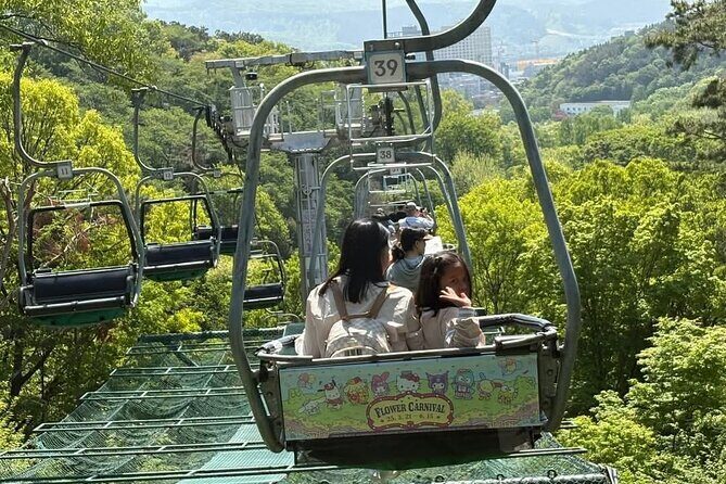Private Everland Theme Park Transfer - The Sum Up