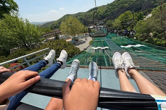 Private Everland Theme Park Transfer - Analyzing the Price and Value