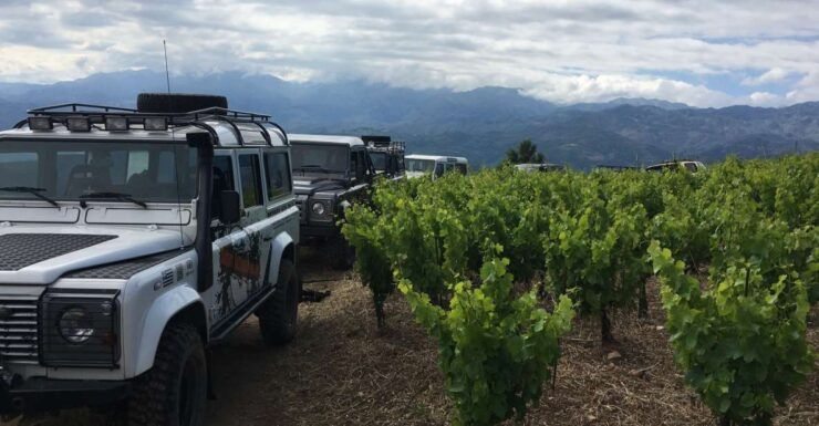 Private Exclusive Manousakis Winery and Vineyard Tour - Availability and Itinerary