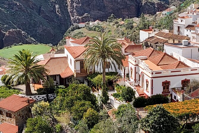 Private Excursion Center of Gran Canaria 4 People Maximum - Excursion Highlights