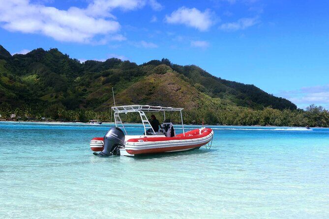 Private excursion Half day Moorea Discovery of the lagoon - Good To Know