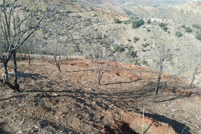 Private Excursion in the Unknown Rif With Lunch - Price and Reservation