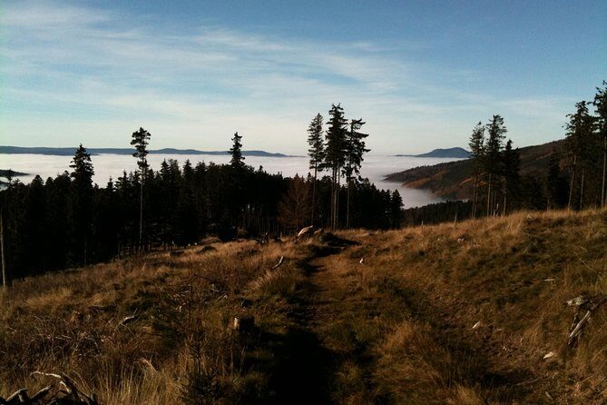 Private excursion: panorama and breath of fresh air at Mont-Sainte-Odile ! - Introduction to the Tour