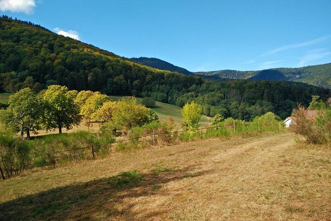 Private excursion: panorama and breath of fresh air at Mont-Sainte-Odile ! - Authentic Insights from Other Travelers