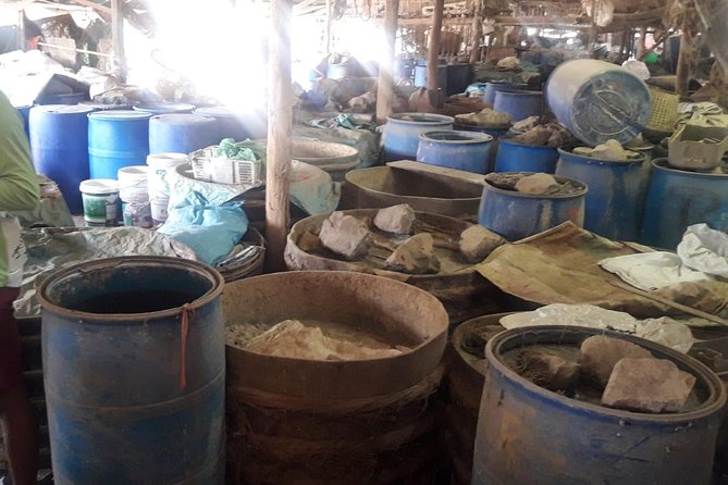 Private Excursion to Battambang - Private Tour Guide