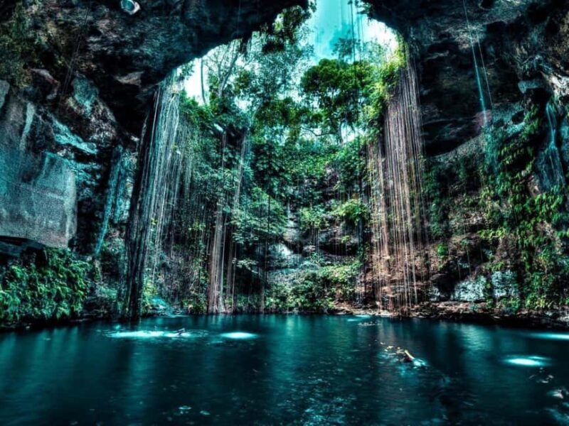 Private Excursion to Cenote Santa Barbara Homun with Transportation - An In-Depth Look at the Tour Experience