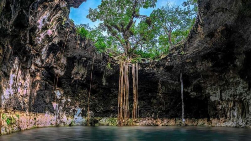 Private Excursion to Cenote Santa Barbara Homun with Transportation - Practical Tips for Your Trip