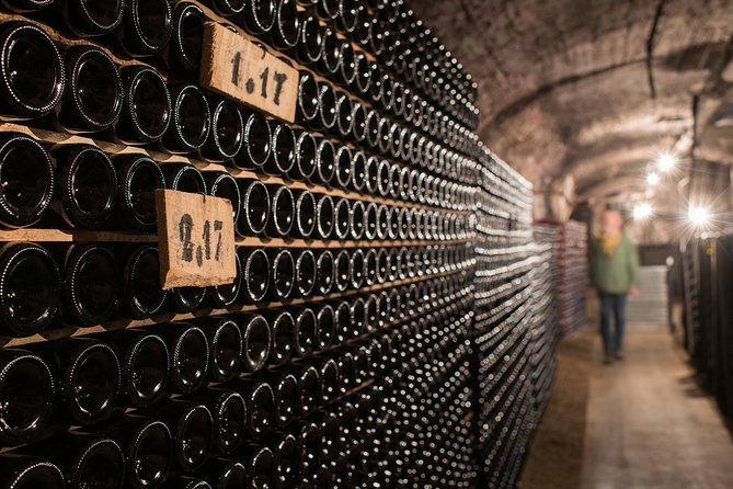 Private Excursion to Côte De Beaune and Côte De Nuits (Full Day) - Exclusive Vineyard Visits