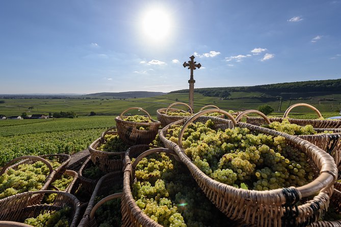 Private Excursion to Côte De Beaune and Côte De Nuits (Full Day) - Common Questions