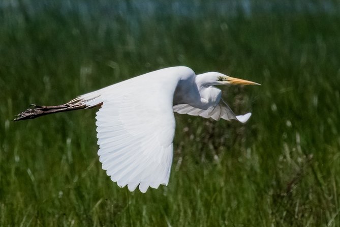 Private Excursion to Doñana National Park, El Rocio and Matalascañas - Directions (If Provided)