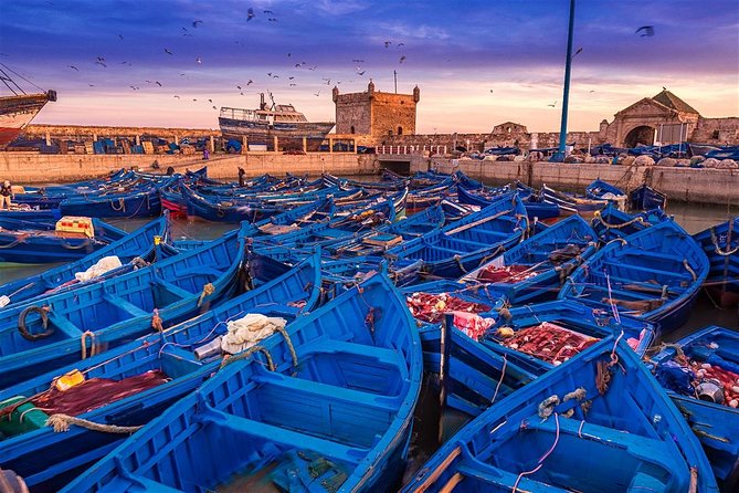 Private Excursion to Essaouira, Departure From Marrakech - Accessibility Details