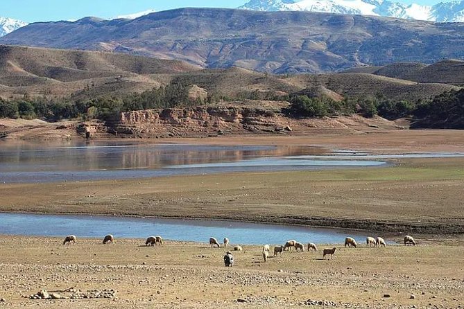 Private Excursion to Lake Lalla Takerkoust Departure From Casablanca - Inclusions