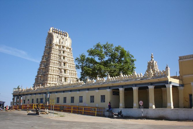 Private Excursion to Mysore and Srirangapatna From Bengaluru - Vibrant Devaraja Market