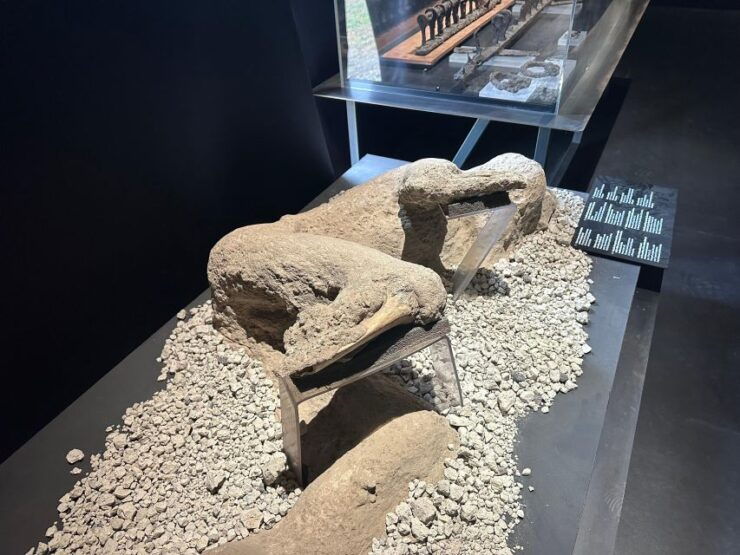 Private Excursion to Pompeii and to Vesuvius - Activity Overview