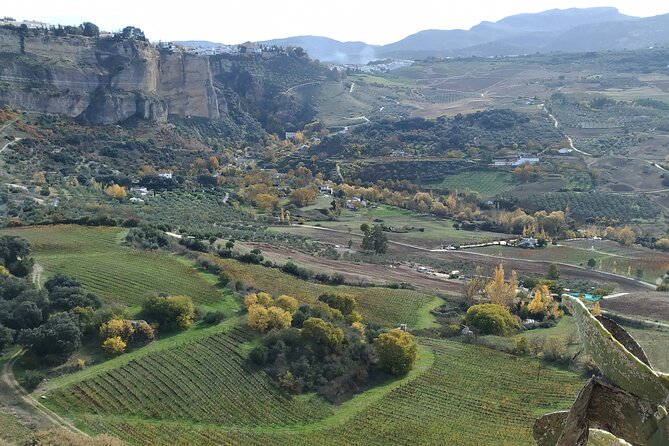 Private Excursion to Ronda From Costa Del Sol 7 Hours - Terms and Conditions