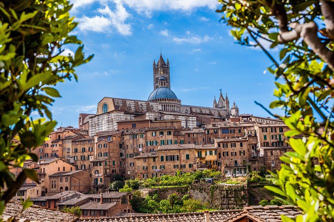 Private Excursion to Siena, San Gimignano and Chianti Landscapes - Pricing and Overall Satisfaction