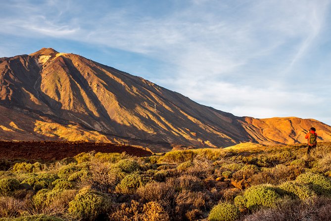 Private Excursion to Teide National Park - Traveler Photos