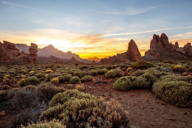 Private Excursion to Teide National Park - The Sum Up