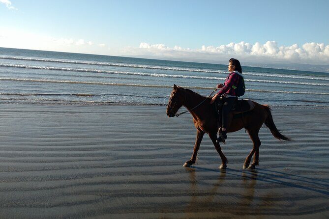 Private excursion to the bufadora and horseback riding on the beach - La Bufadora & Scenic Stops