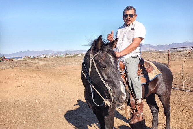 Private excursion to the bufadora and horseback riding on the beach - What Makes This Tour Stand Out?