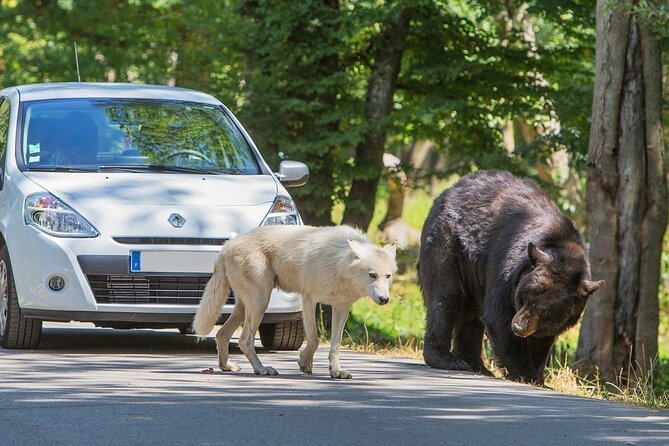 Private Excursion to Thoiry Zoosafari From Paris - Thoiry Zoosafari: A Unique Wildlife Experience