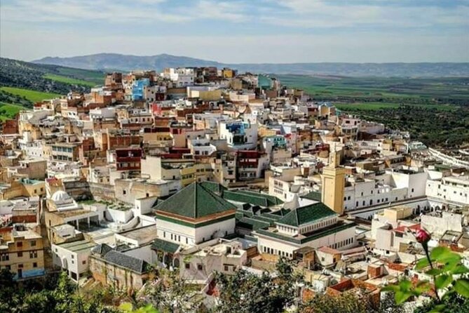 Private Excursion to Volubilis Meknes and Moulay Idriss From Fez - Meeting and Pickup