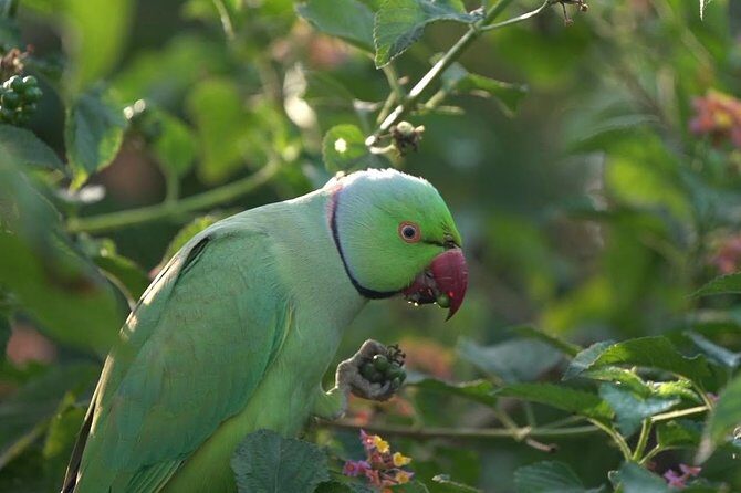 Private Excursion Trip to Bharatpur's Keoladeo National Park From Delhi - Final Thoughts  