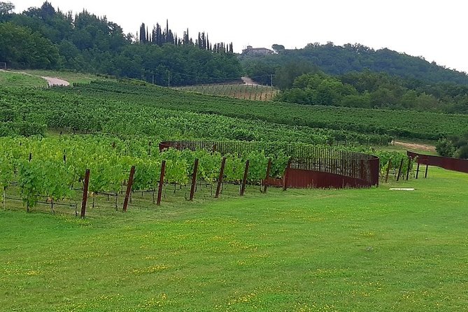 PRIVATE EXCURSION: Volterra & San Gimignano + Wine Tastings (From Livorno Port) - Culinary Delights