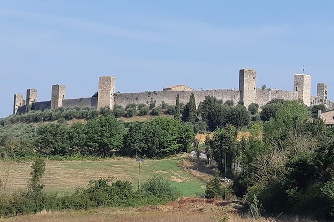PRIVATE EXCURSION: Volterra & San Gimignano + Wine Tastings (From Livorno Port) - Expert Guidance