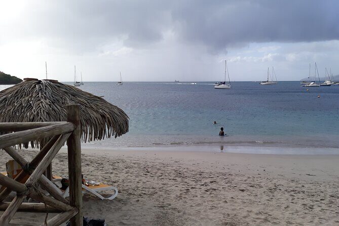 Private excursions à la carte in Martinique - An Overview of What Makes This Tour Stand Out