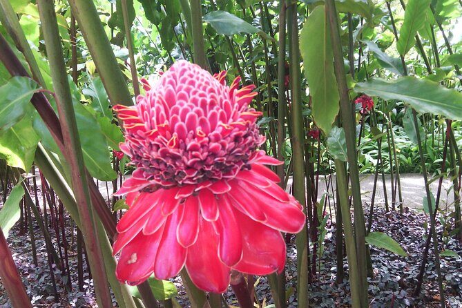 Private excursions à la carte in Martinique - Who Should Consider This Tour?