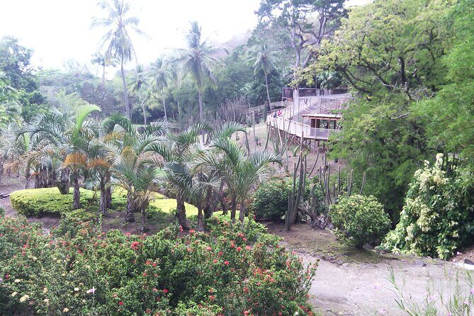 Private excursions à la carte in Martinique - Final Thoughts