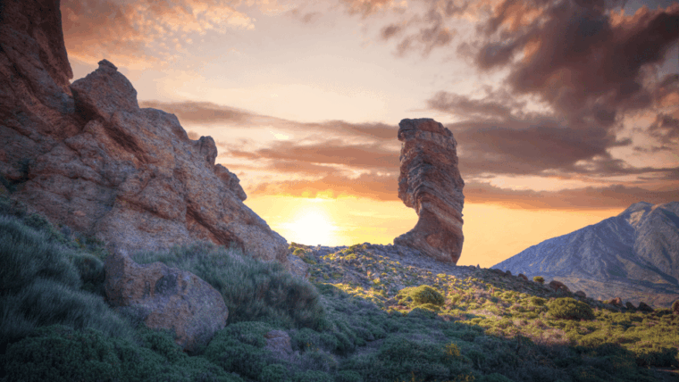 Private Excursions for Cruise-Ship Passengers - Inclusions and Transportation Details