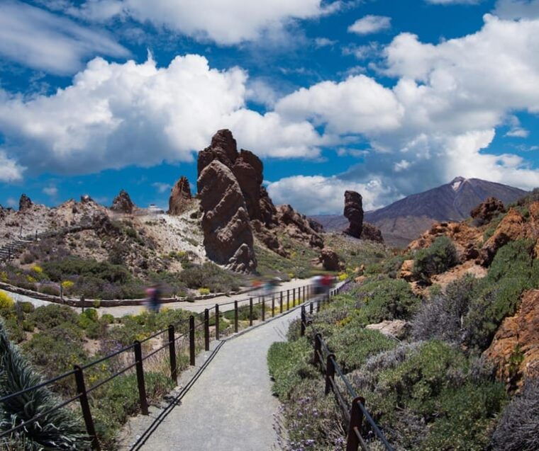 Private Excursions for Cruise-Ship Passengers - Exploring the Teide National Park