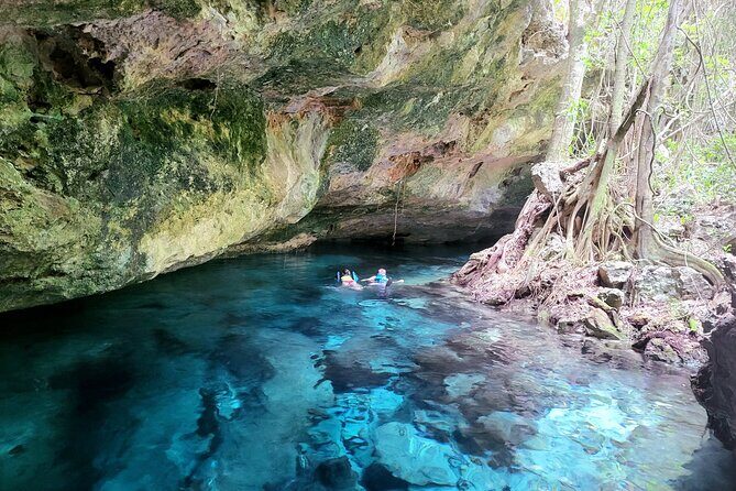 Private experience 5 cenotes at Riviera Maya - What to Expect from This Riviera Maya Cenote Tour