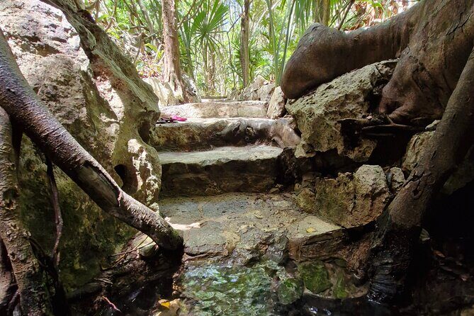 Private experience 5 cenotes at Riviera Maya - Final Thoughts