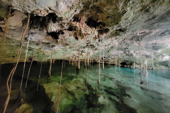 Private experience 5 cenotes at Riviera Maya - Frequently Asked Questions