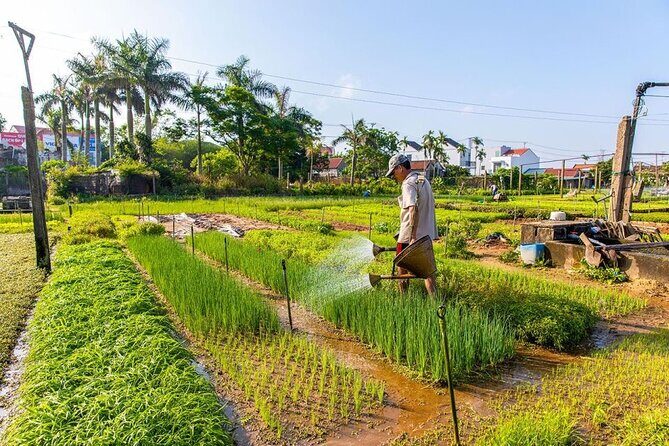 Private Experience Cycling , Buffalo and Basket Boat Ride - The Sum Up