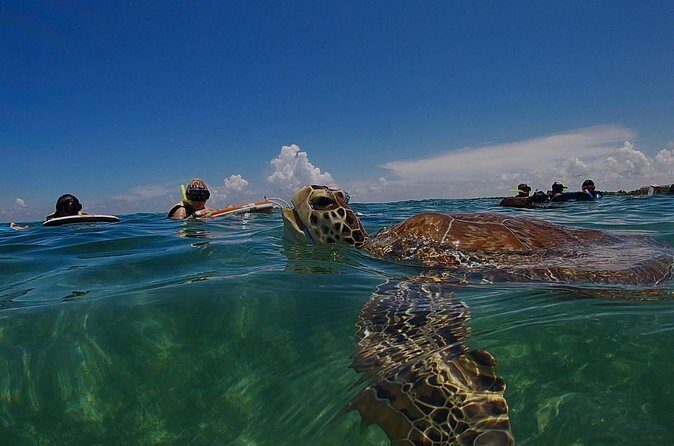 Private Experience in Akumal with Snorkeling - Post-Snorkeling Relaxation and Free Time