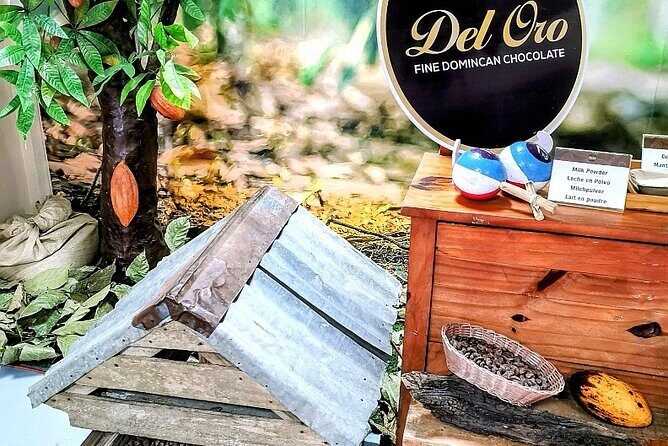 Private Experience Puerto Plata Full City Tour and Beach Time - The Value Proposition