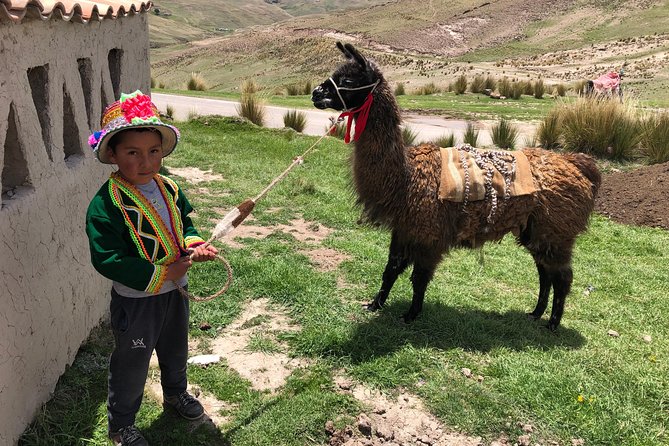 Private Experience Qeswachaka Community & Last Inca Bridge Day Trip From Cusco - Operated by VIPAC Travel
