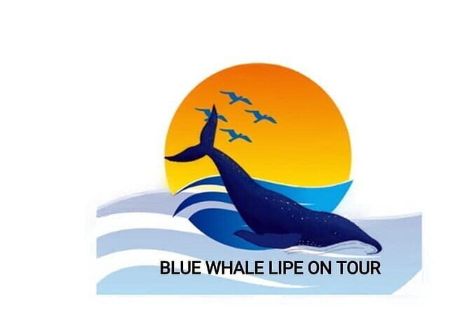 Private Experience with Fishing, Barbeque, Sashimi and Snorkeling - Exploring a Private Fishing, Snorkeling, and BBQ Tour in Ko Lipe: An In-Depth Look