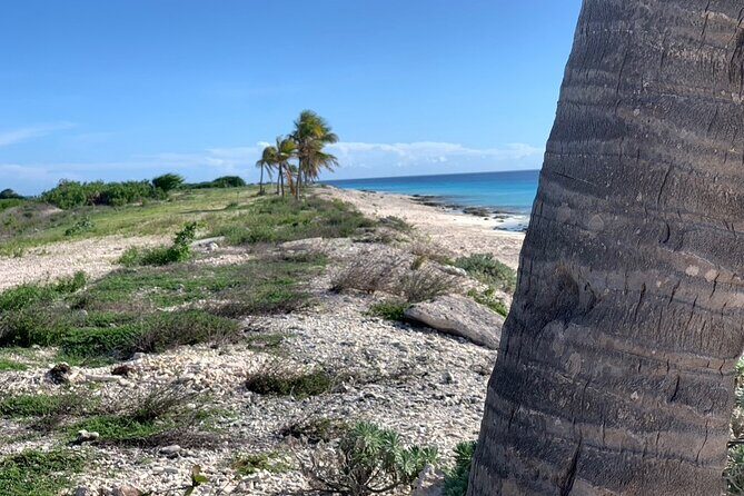 Private Exploration North & South Bonaire - The Sum Up