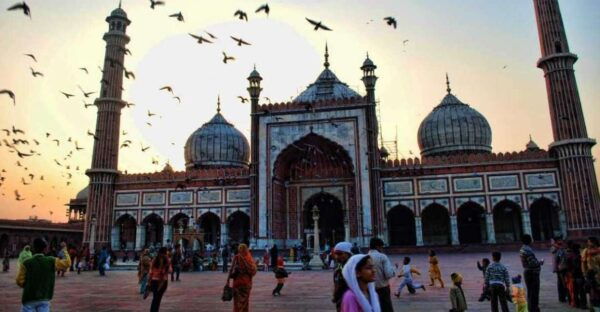 Private : Explore Delhi Local Sightseeing Spices,Food Tour - The Sum Up