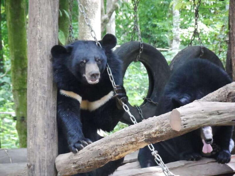 Private Explore Pak Ou Cave & Kuang Si Waterfall with Lunch - Exploring Luang Prabang’s Gems: A Detailed Review of the Private Pak Ou Cave & Kuang Si Waterfall Tour  