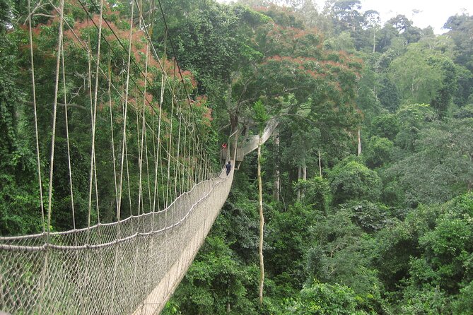 Private Exploring the Remnant of the Colonial Past of Cape Coast - Itinerary Details