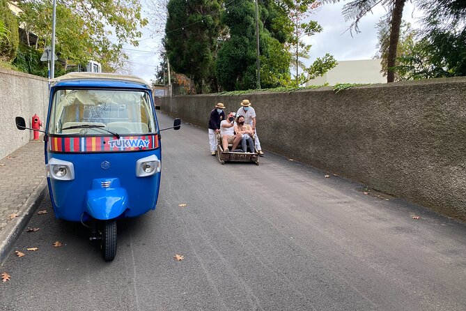 Private Express Tuk Tuk Tour Funchal Old Town & Toboggans - Additional Reviews